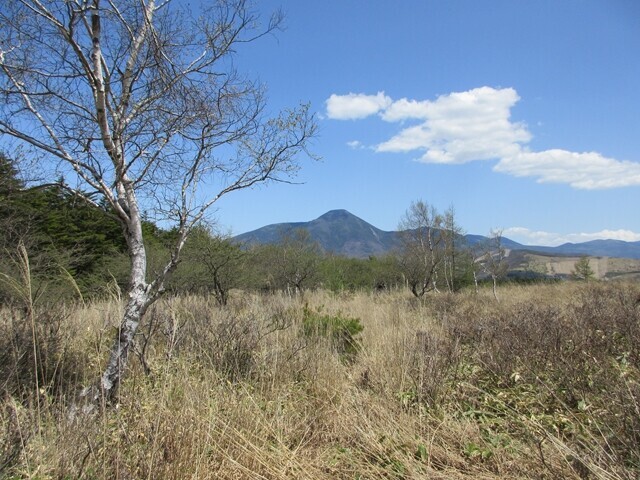 廃道ルート？で白樺湖へ下山の様子