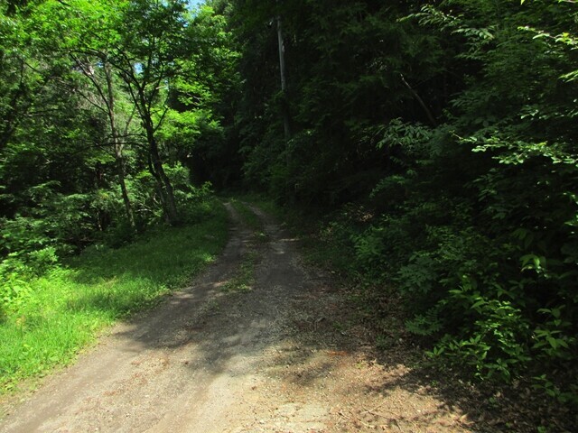 御嶽道に合流した様子