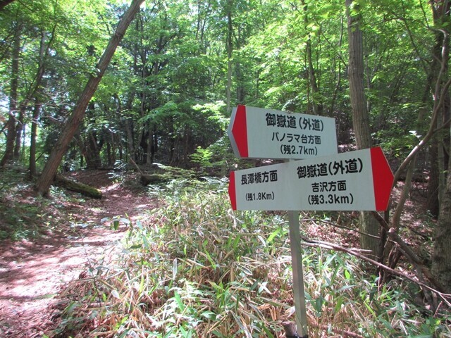 御嶽道とパノラマ台方面への分岐