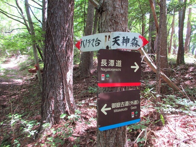 御嶽道と合流する場所の様子