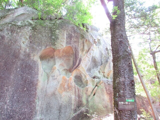 御嶽道の虫喰い岩