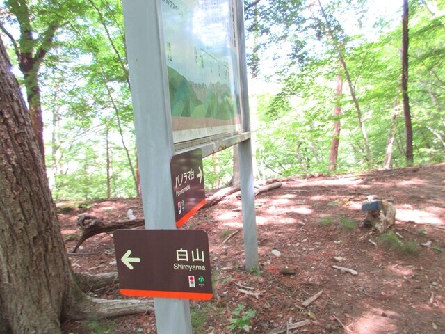 白山展望台分岐