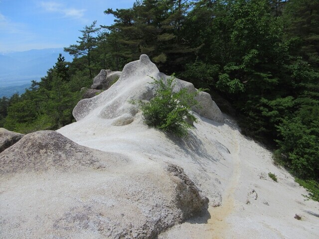 白砂山の山頂付近の稜線の様子