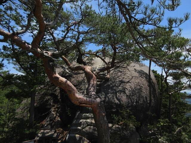 岩の先が羅漢寺山最高峰の弥三郎岳