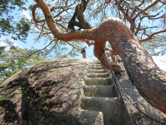 高度感のある登山道の先に羅漢寺山最高峰の弥三郎岳