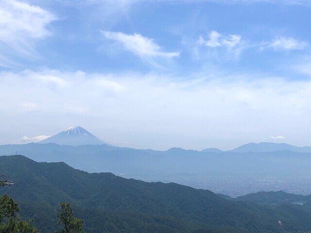 羅漢寺山最高峰の弥三郎岳から見る富士山景色