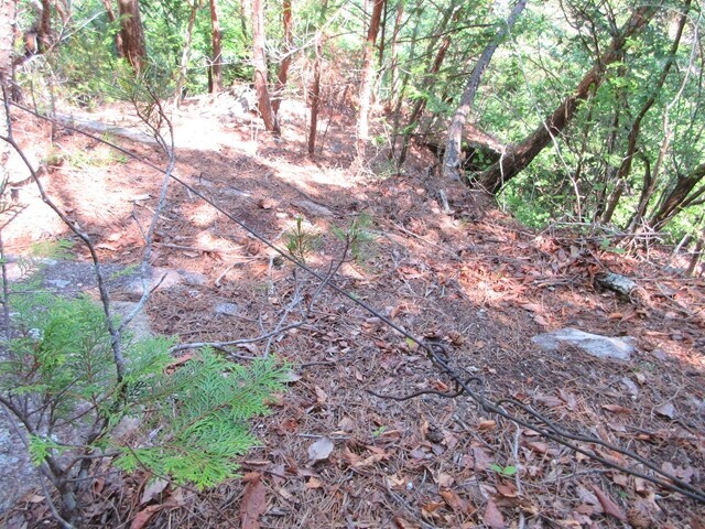 仙娥滝廃道ルートのワイヤーがあるルートの様子