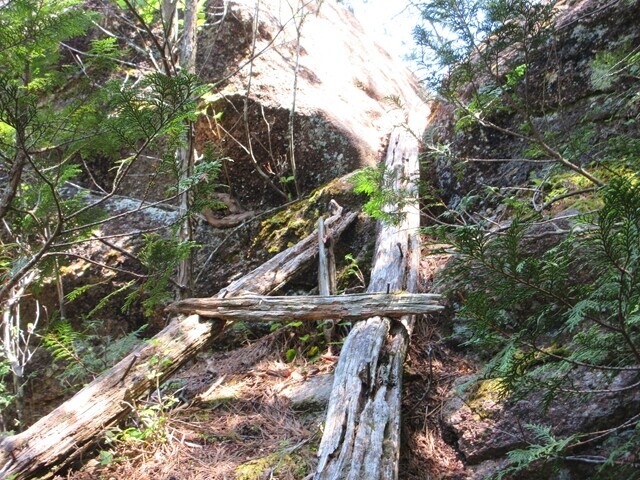 仙娥滝廃道ルートの朽ちた木の梯子