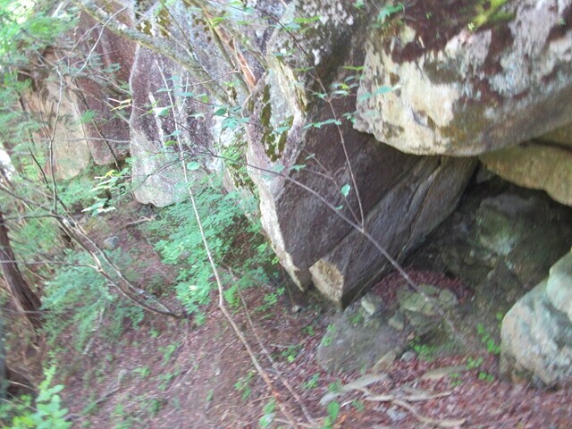 仙娥滝を目指して廃道ルートを進んでいる様子