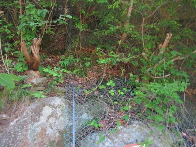 仙娥滝の廃道ルート近くの金網
