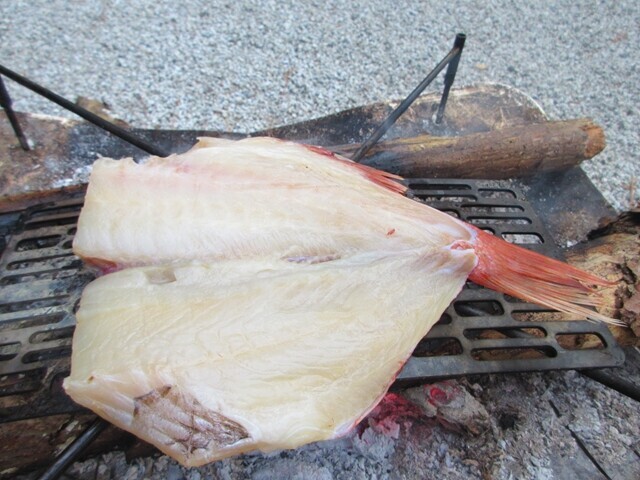 焚き火で焼いている魚の様子