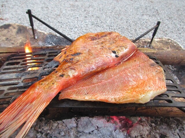 焚き火で焼いた魚を引っ繰り返した様子