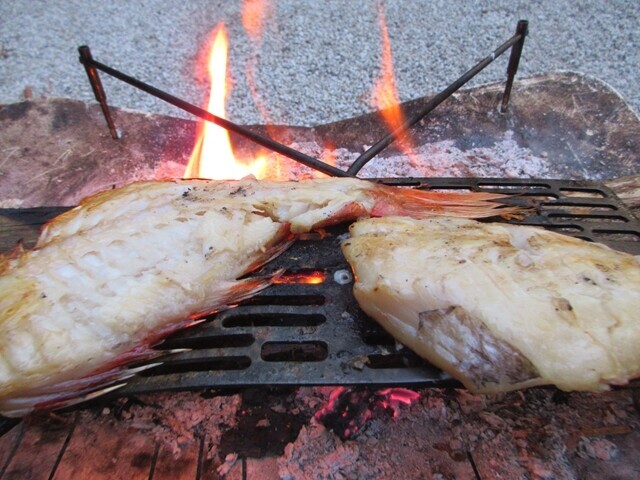 キャンプで焼いた焼魚
