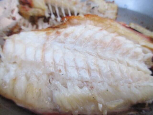 昇仙峡オートキャンプ場で食べた焼き魚