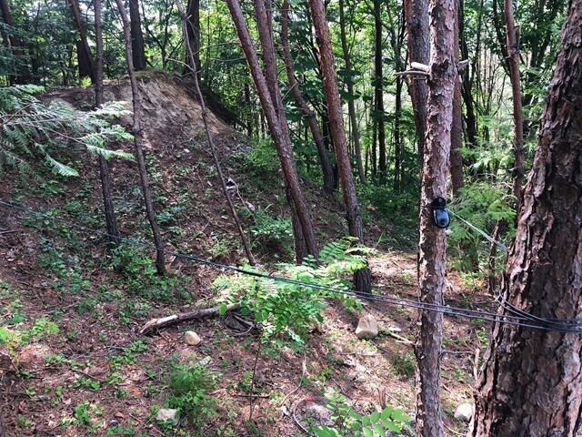 テントサイトの木々に洗濯ロープ（シートゥサミットクローズライン）をセットした状態