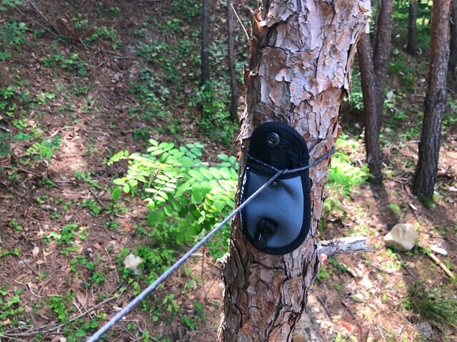 洗濯ロープを木にセットして洗濯物を干す