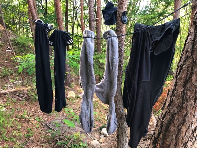 洗濯して干した洗濯物の様子