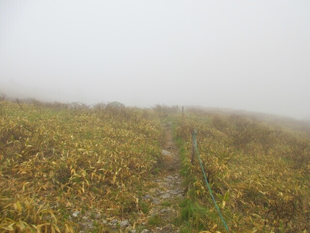 鉢伏山までの登山ルートの整備具合の様子