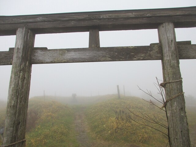 鉢伏山の鳥居