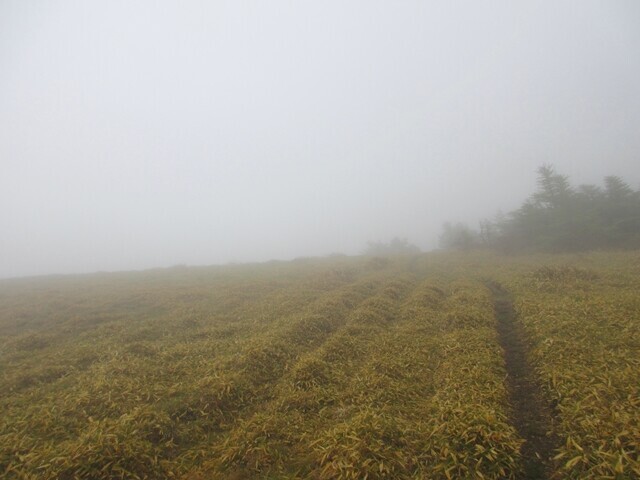 鉢伏山から二ツ山までの縦走路の様子