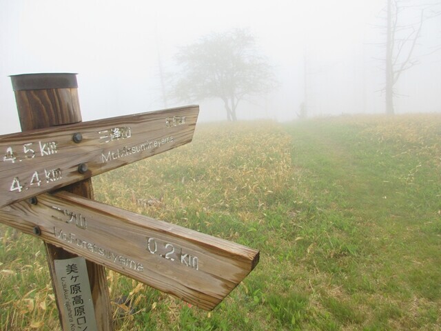 二ツ山と三峰山の分岐地点