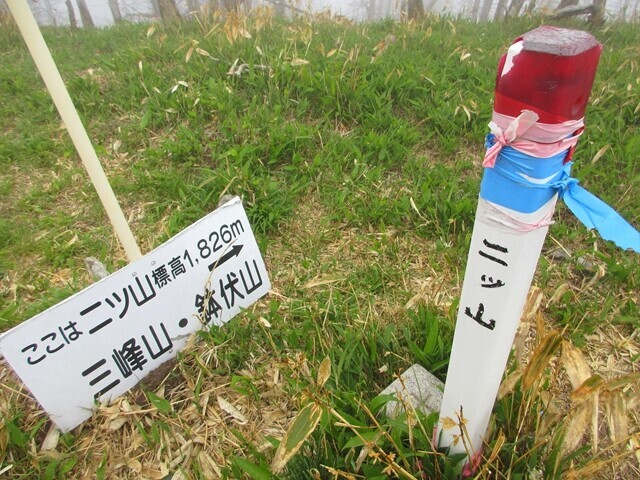 二ツ山の山頂