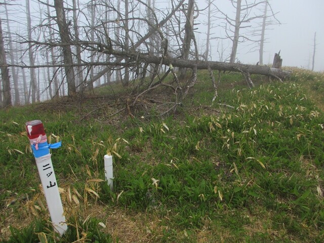 二ツ山のバリエーションルート
