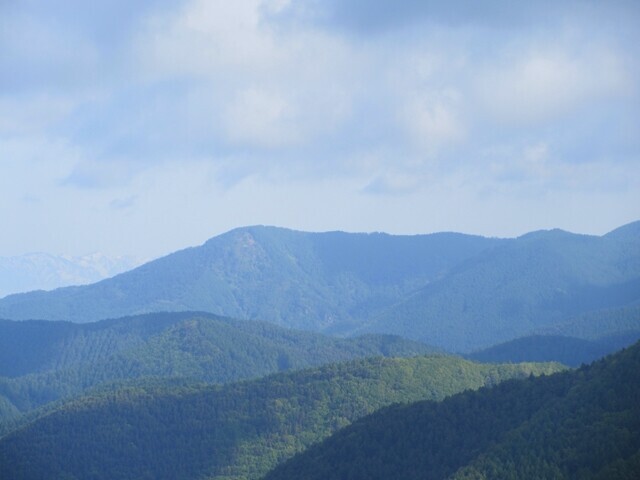 鉢伏山登山中の景色