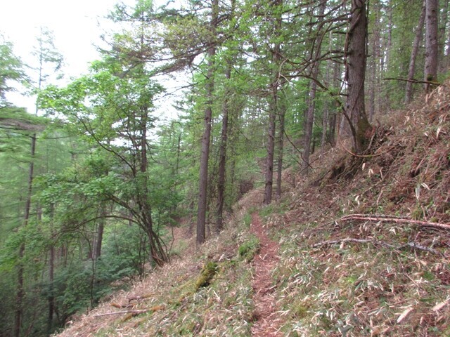 二ツ山から三峰山の登山ルートの巻き道