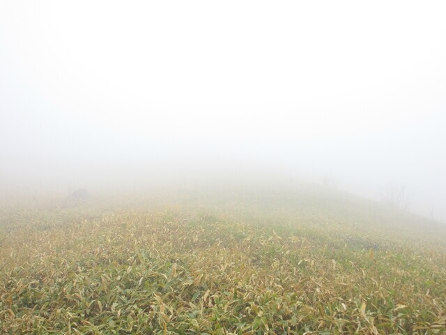 三峰山の登山道は霧の中の様子