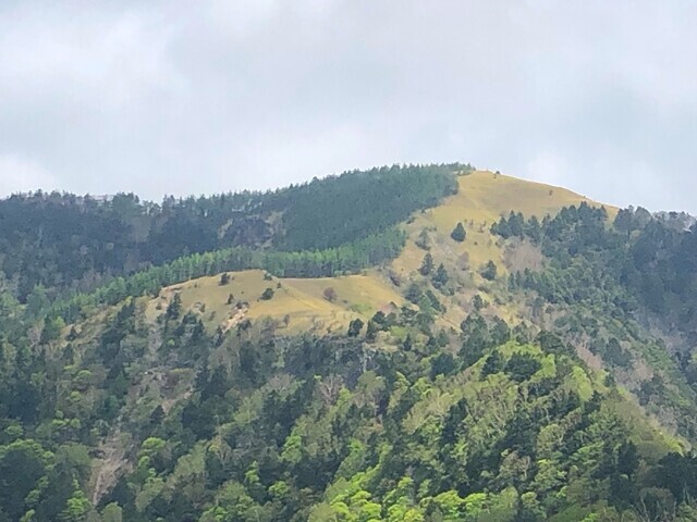 目指す茶臼山の山頂を遠望