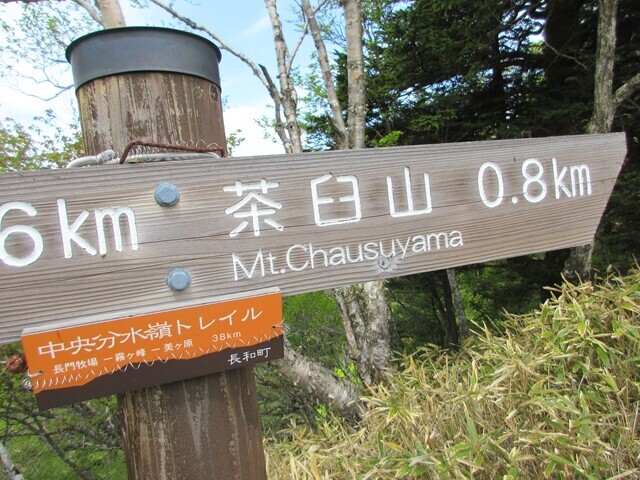 茶臼山まで800m地点の道標と中央分水嶺トレイルの案内板