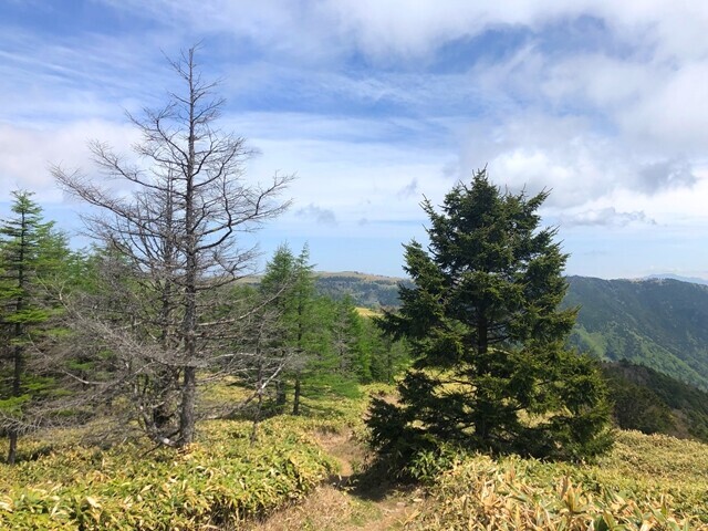 美しの塔を目指して登山を再開の様子