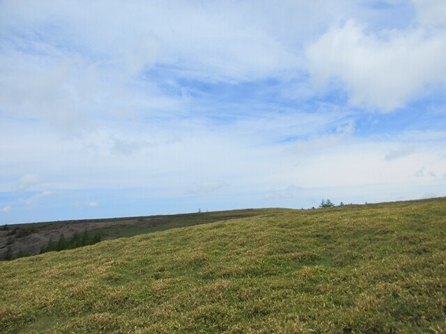 美しの塔を遠望