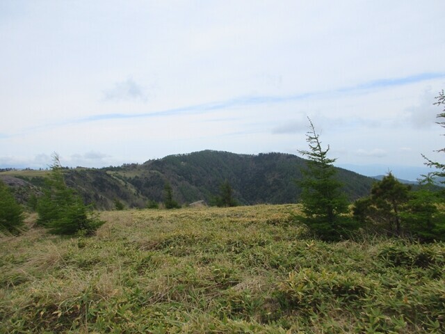 王ヶ頭から茶臼山を遠望