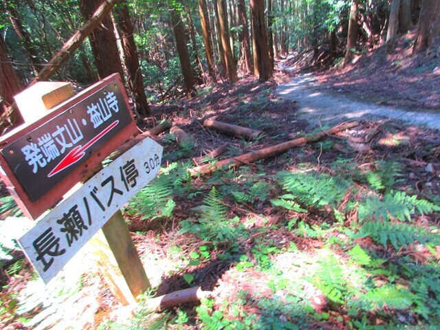 林道経由（長瀬バス停）葛城山分岐地点