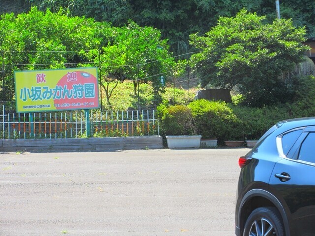小坂みかん園の駐車場