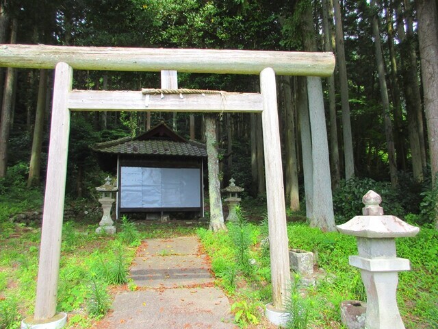 浜石岳への登山ルート上の道標