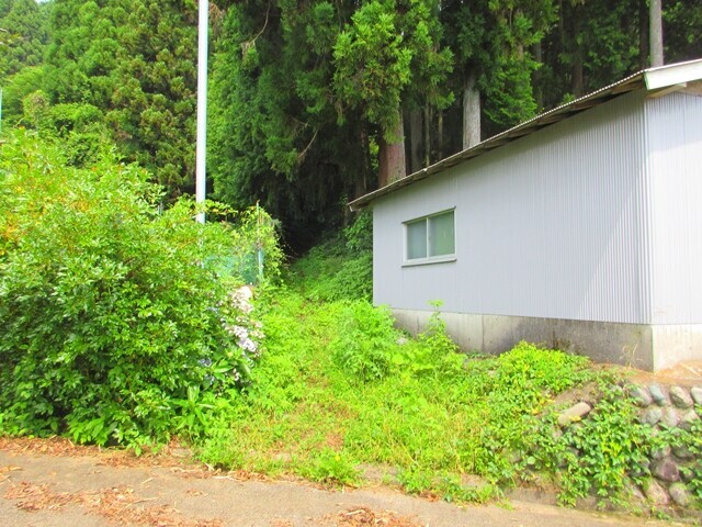 浜石岳の草むらの登山ルート