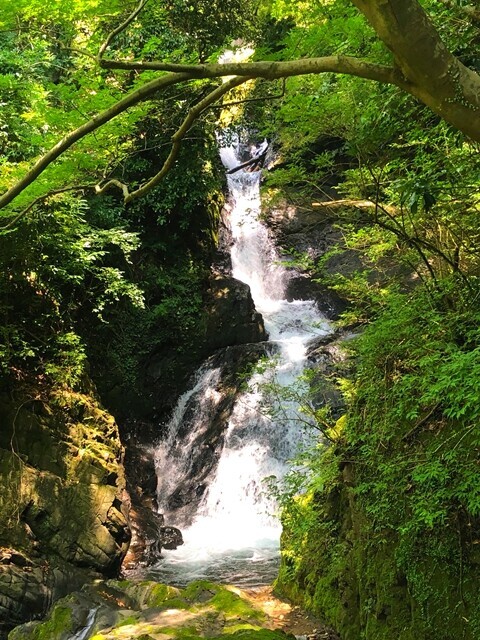 銚子口の滝の景色
