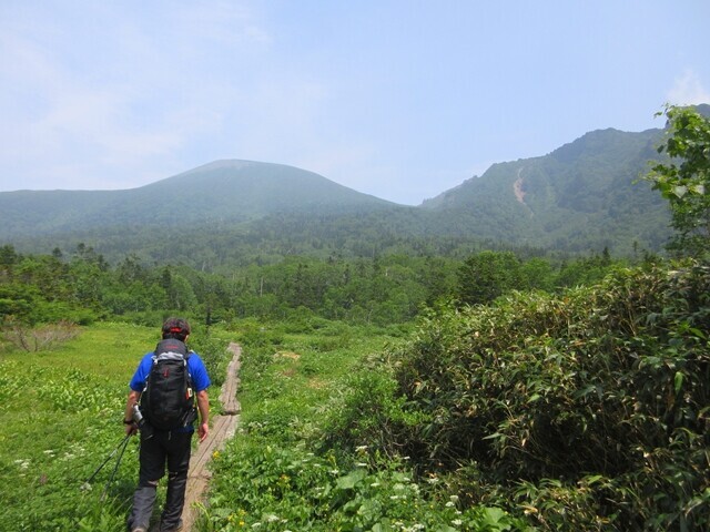 岩手山のお花畑