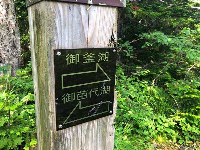 岩手山の山容がとても美し