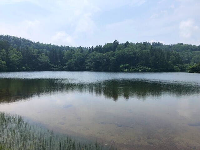 岩手山の中腹にあります御苗代湖の全景