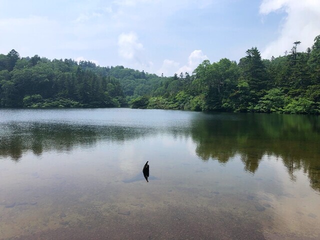 岩手山八ツ目湿地
