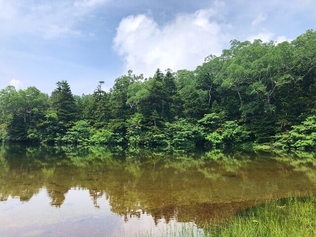 御苗代湖の湖面