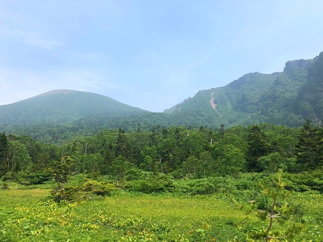 お花畑からの岩手山、鬼ヶ城の景色