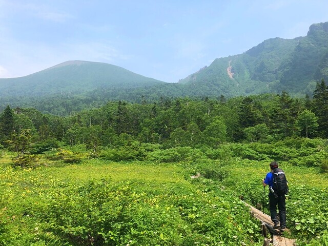 振り返って岩手山とお花畑の景色