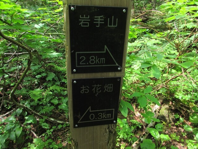 お花畑から岩手山まで3.1kmの道のりの道標