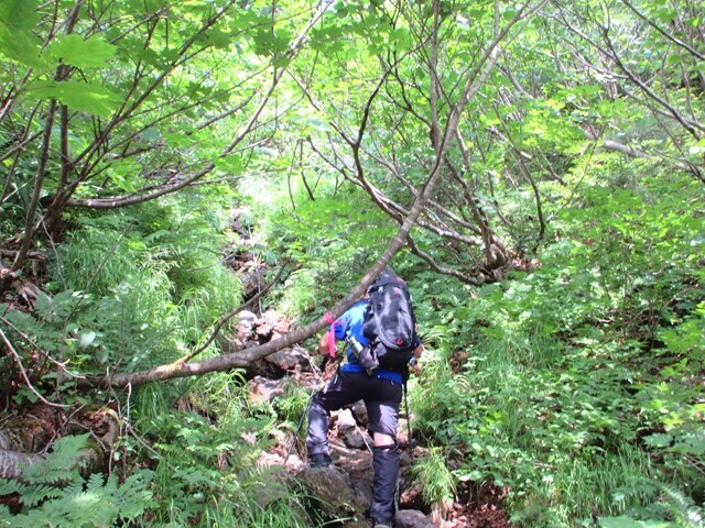 不動平避難小屋までの登山ルートの様子