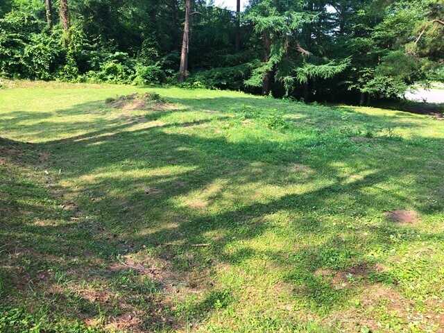 姫神山一本杉園地キャンプ場のサイトの一部